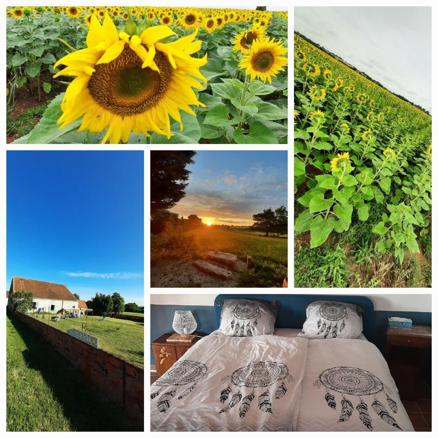 Notre village Papillon gite bed&breakfast Neret Eksteriør bilde
